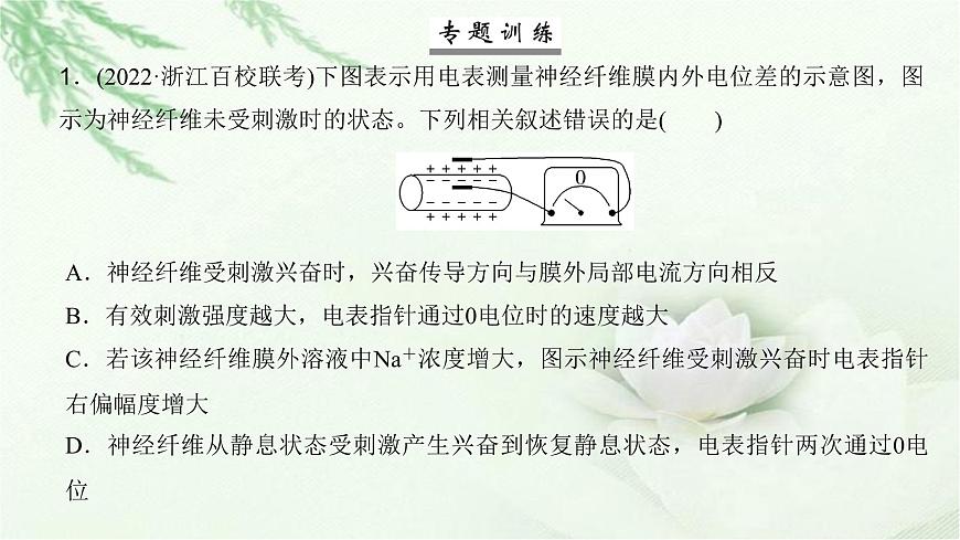 人教版2024屆高考生物一輪復(fù)習(xí)微專(zhuān)題10神經(jīng)調(diào)節(jié)中興奮傳導(dǎo)與傳遞的實(shí)驗(yàn)探究教學(xué)課件第8頁(yè)