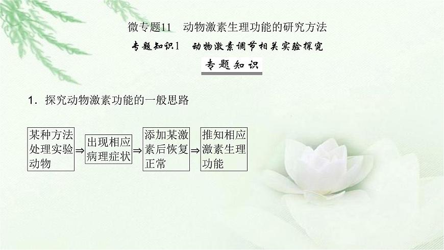 人教版2024屆高考生物一輪復(fù)習(xí)微專題11動物激素生理功能的研究方法教學(xué)課件第2頁