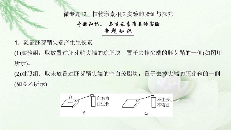人教版2024届高考生物一轮复习微专题12植物激素相关实验的验证与探究教学课件02
