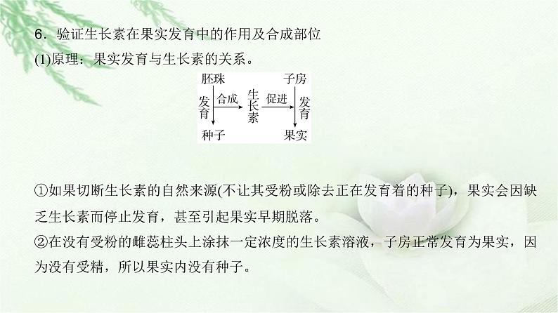 人教版2024届高考生物一轮复习微专题12植物激素相关实验的验证与探究教学课件06