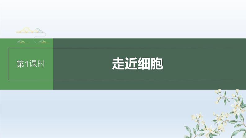 人教版2024届高考生物一轮复习走近细胞课件教学课件01