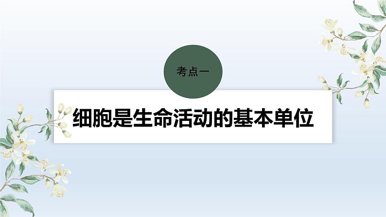 人教版2024届高考生物一轮复习走近细胞课件教学课件04