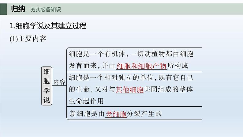 人教版2024届高考生物一轮复习走近细胞课件教学课件05