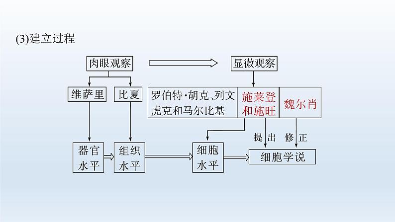 人教版2024届高考生物一轮复习走近细胞课件教学课件07