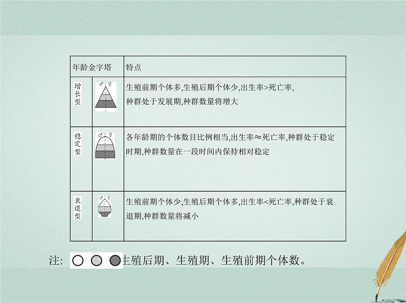 人教版2024届高考生物一轮复习种群及其动态教学课件 (2)第3页