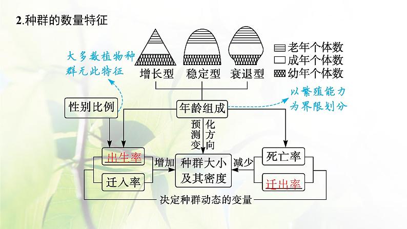 人教版2024届高考生物一轮复习种群的特征和数量变化教学课件第6页