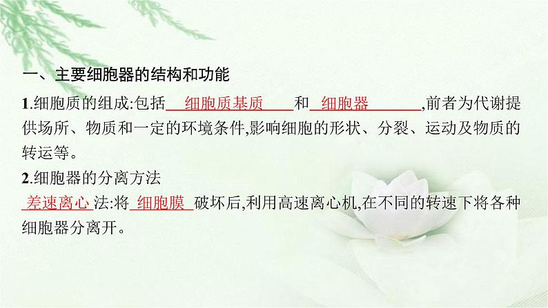 人教版2024届高考生物一轮复习细胞器和生物膜系统教学课件第5页