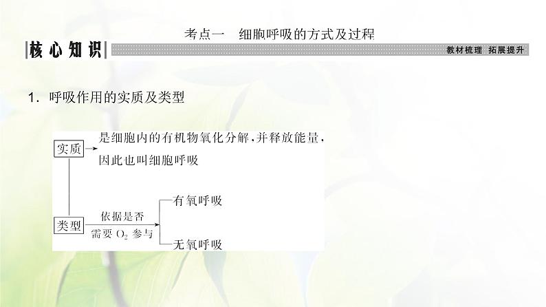 人教版2024届高考生物一轮复习细胞呼吸的原理和应用教学课件第3页