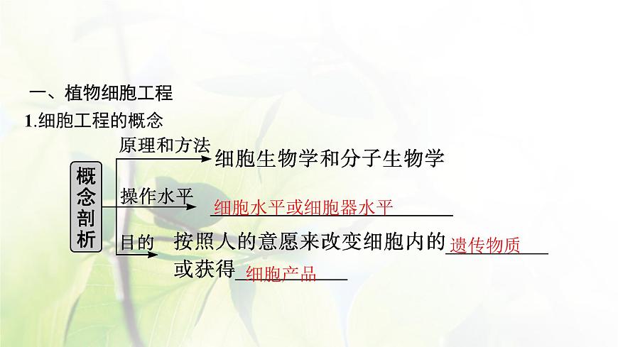 人教版2024屆高考生物一輪復(fù)習(xí)細(xì)胞工程教學(xué)課件第5頁