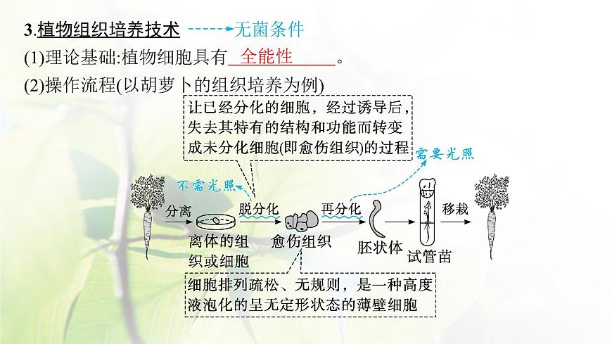 人教版2024屆高考生物一輪復(fù)習(xí)細(xì)胞工程教學(xué)課件第7頁