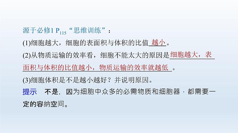 人教版2024届高考生物一轮复习细胞的增殖教学课件第8页