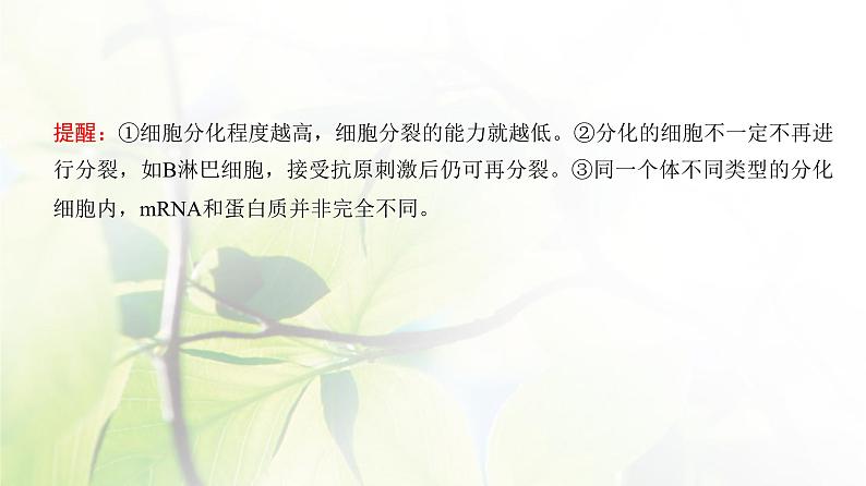 人教版2024届高考生物一轮复习细胞的分化、衰老和死亡教学课件第4页