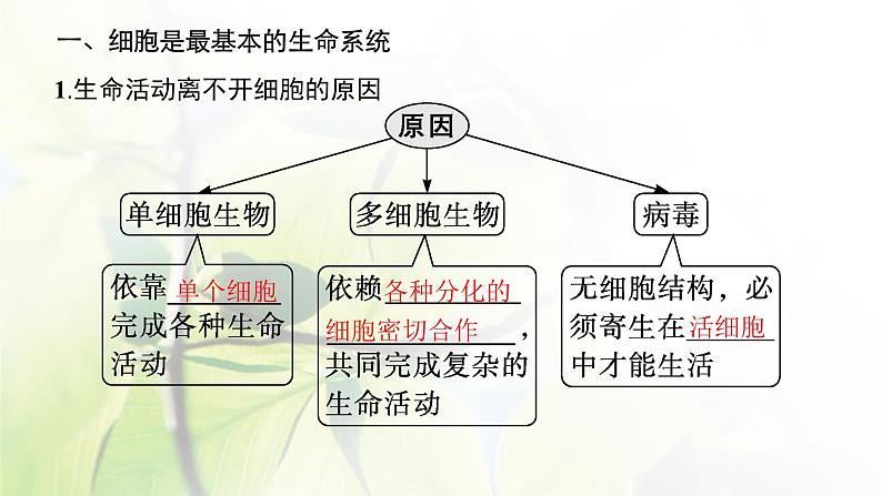 人教版2024届高考生物一轮复习细胞的多样性、统一性(含病毒)教学课件第5页