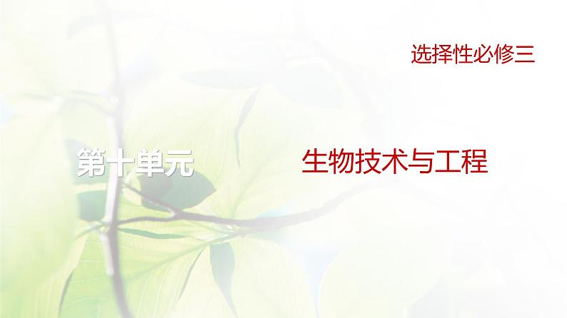 人教版2024届高考生物一轮复习微生物的培养技术及应用教学课件第1页