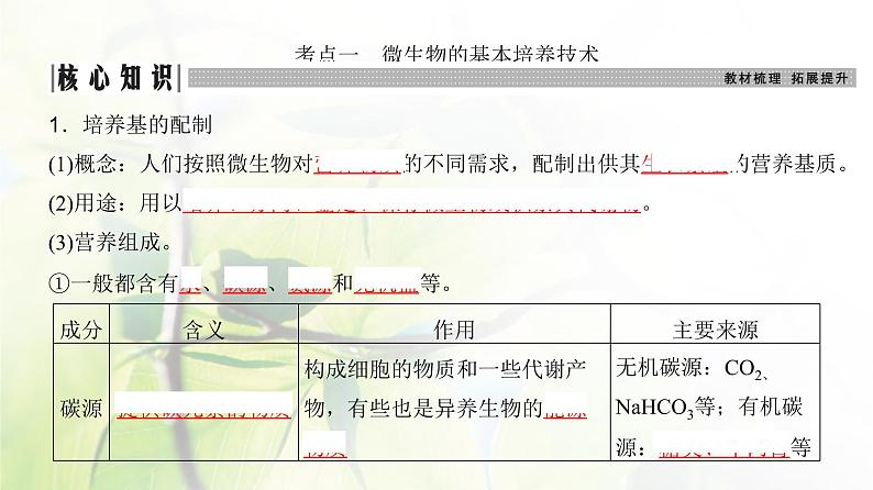 人教版2024届高考生物一轮复习微生物的培养技术及应用教学课件第3页