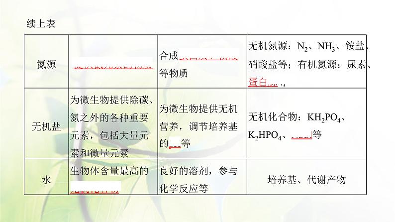 人教版2024届高考生物一轮复习微生物的培养技术及应用教学课件第4页