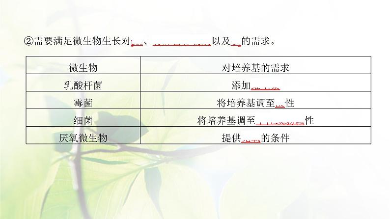 人教版2024届高考生物一轮复习微生物的培养技术及应用教学课件第5页