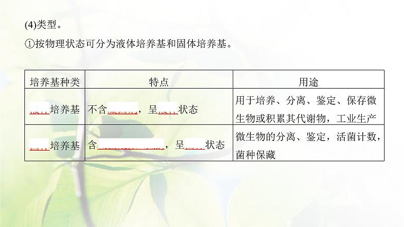 人教版2024届高考生物一轮复习微生物的培养技术及应用教学课件第6页
