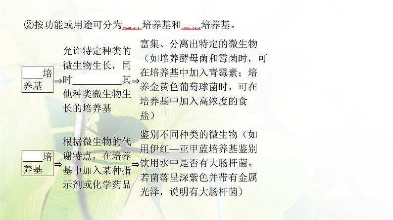 人教版2024届高考生物一轮复习微生物的培养技术及应用教学课件第7页