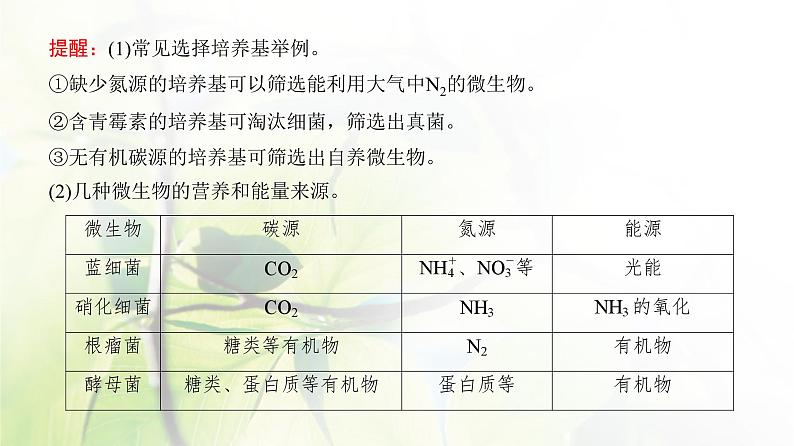 人教版2024届高考生物一轮复习微生物的培养技术及应用教学课件第8页