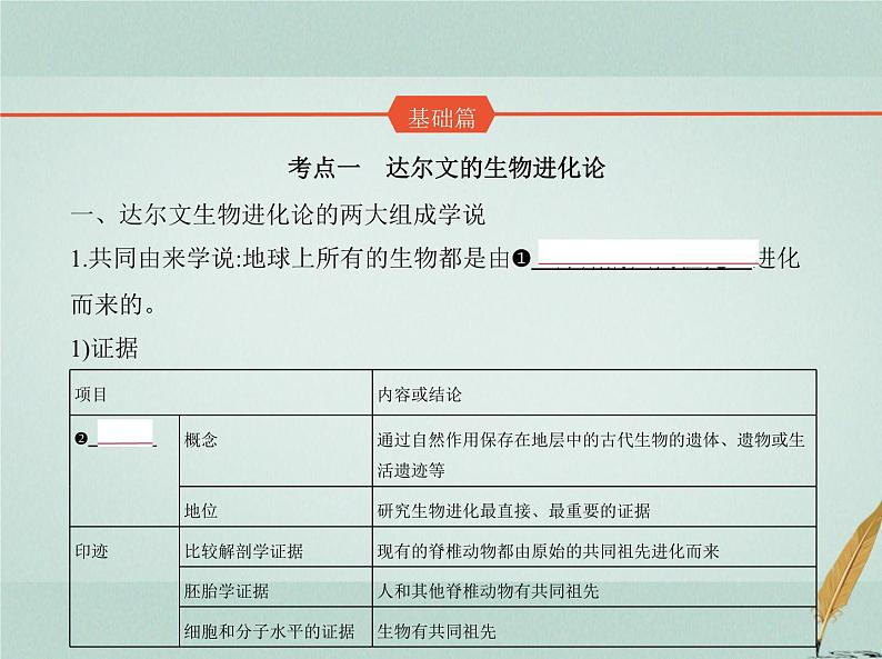 人教版2024届高考生物一轮复习生物的进化教学课件第2页