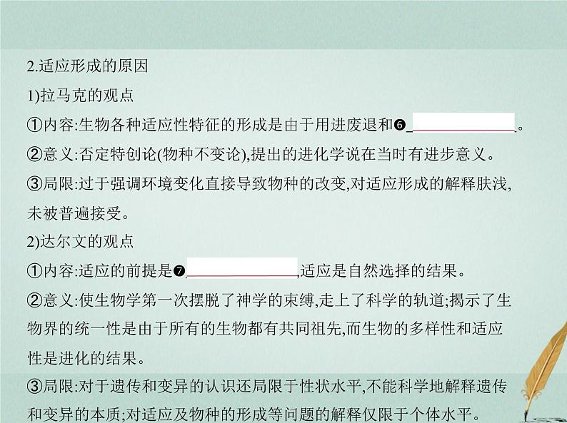 人教版2024届高考生物一轮复习生物的进化教学课件第5页