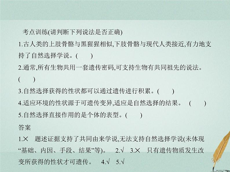 人教版2024届高考生物一轮复习生物的进化教学课件第6页