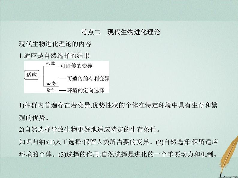 人教版2024届高考生物一轮复习生物的进化教学课件第7页