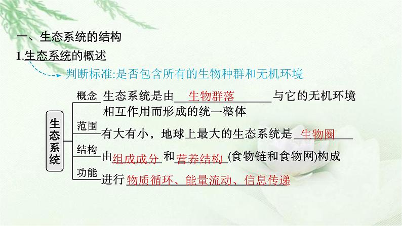 人教版2024届高考生物一轮复习生态系统的结构和功能教学课件第6页