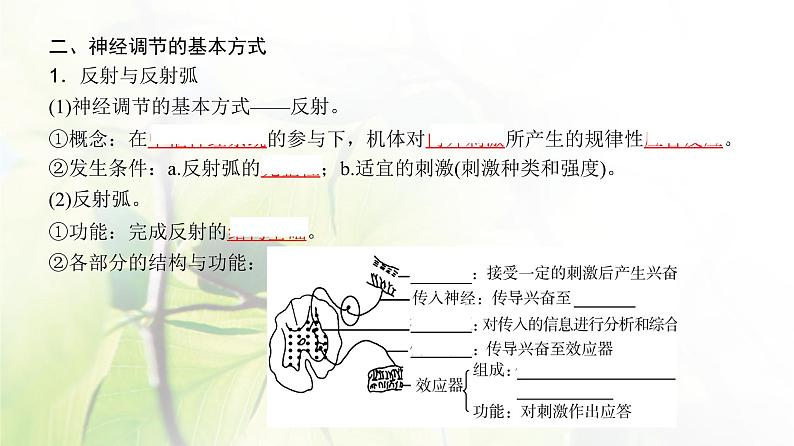 人教版2024届高考生物一轮复习神经调节教学课件 (3)第8页