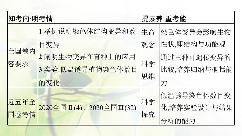 人教版2024届高考生物一轮复习染色体变异与育种教学课件第3页