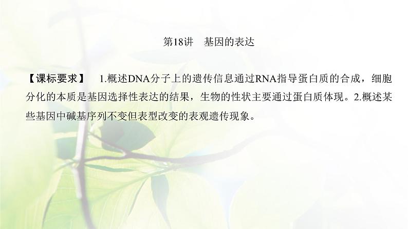 人教版2024届高考生物一轮复习基因的表达教学课件第2页