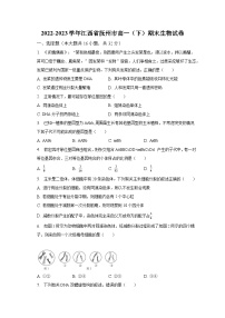 2022-2023学年江西省抚州市高一（下）期末生物试卷（含解析）