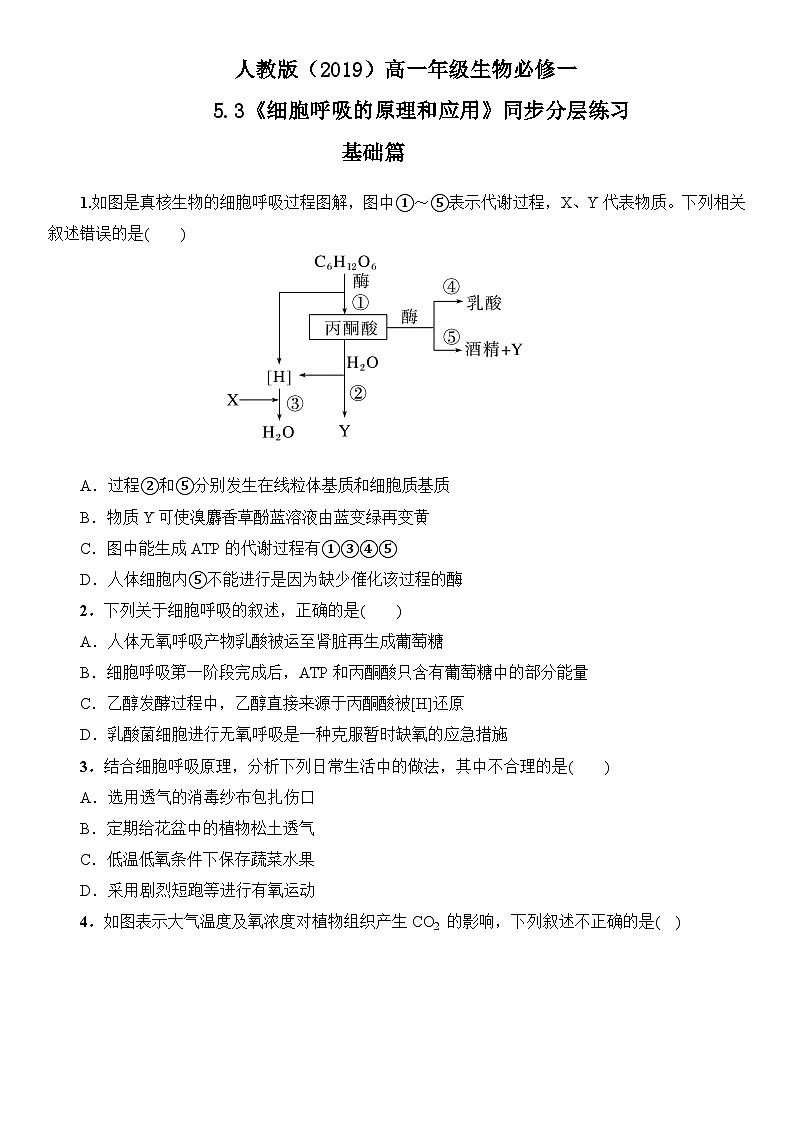 5.3《细胞呼吸的原理和而应用》同步分层练习第1页