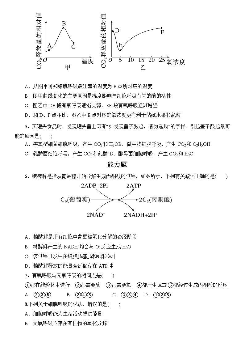 5.3《细胞呼吸的原理和而应用》同步分层练习第2页