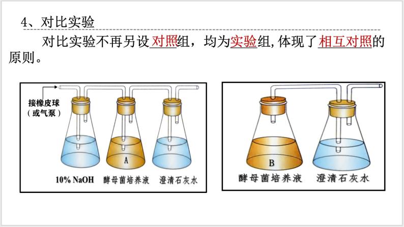 人教版2019必修一高中生物学5.3《细胞呼吸的原理和利用》课件+同步分层练习08