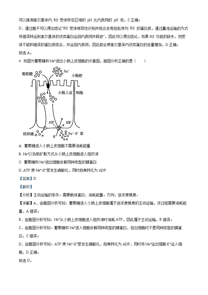 吉林省通化市梅河口市五中2022-2023学年高二下学期期末生物试题(解析版)03