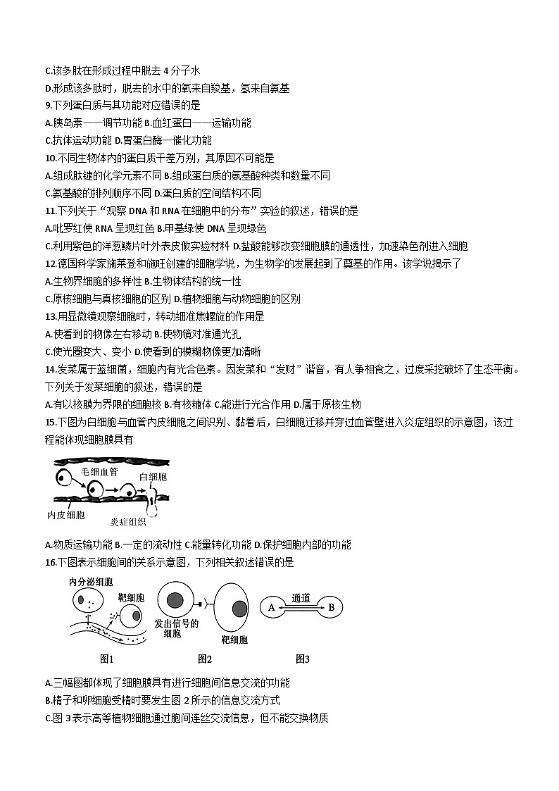 陕西省榆林市子洲中学2020-2021学年高一上学期期中生物试题第2页