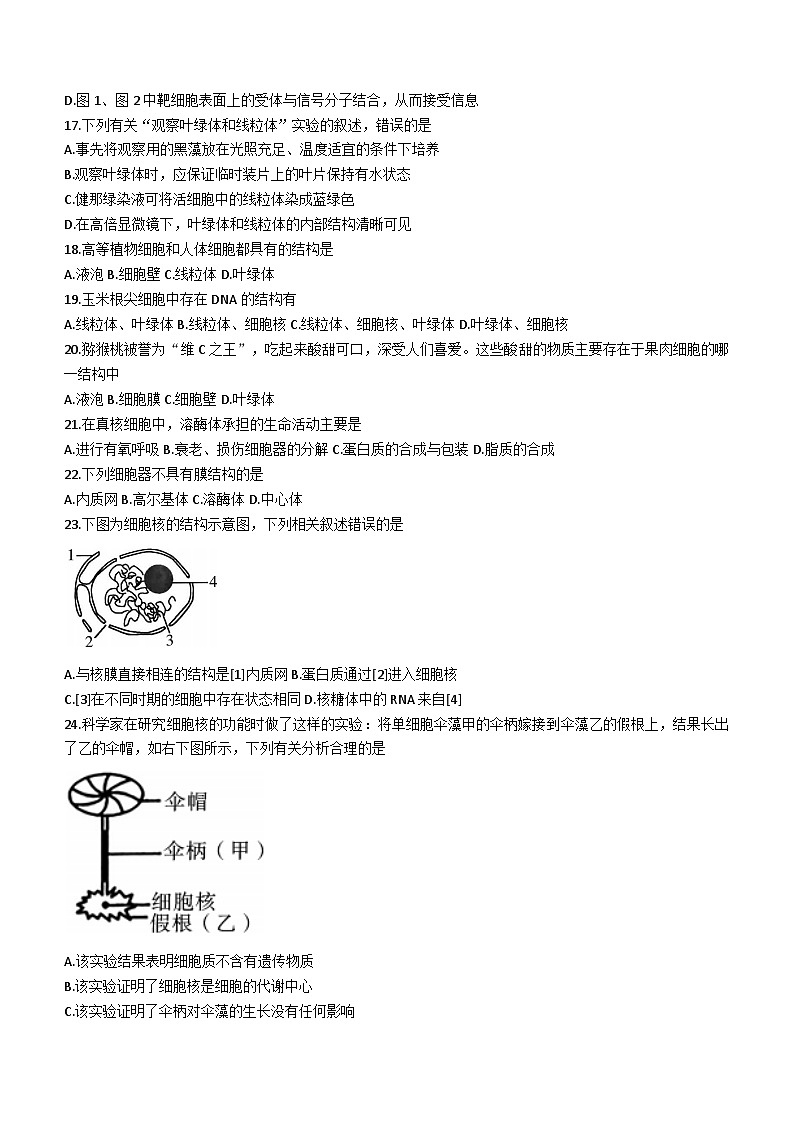 陕西省榆林市子洲中学2020-2021学年高一上学期期中生物试题第3页