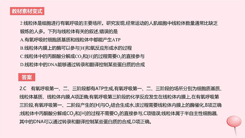 2024版高考生物一轮复习教材基础练第三章细胞的能量供应和利用第2节细胞呼吸的原理和应用教学课件第5页