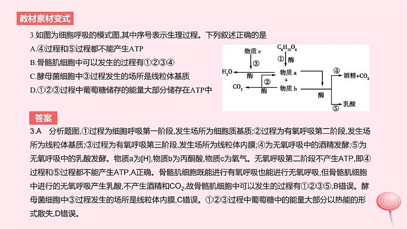 2024版高考生物一轮复习教材基础练第三章细胞的能量供应和利用第2节细胞呼吸的原理和应用教学课件第6页