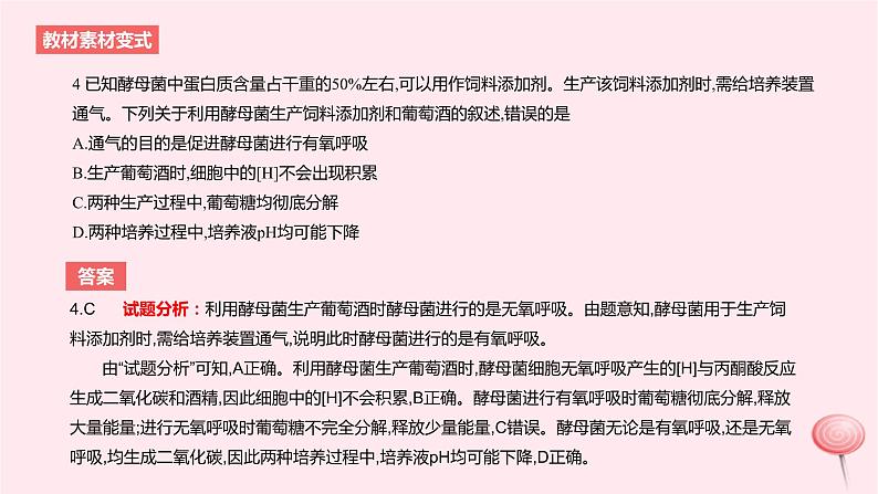 2024版高考生物一轮复习教材基础练第三章细胞的能量供应和利用第2节细胞呼吸的原理和应用教学课件第7页