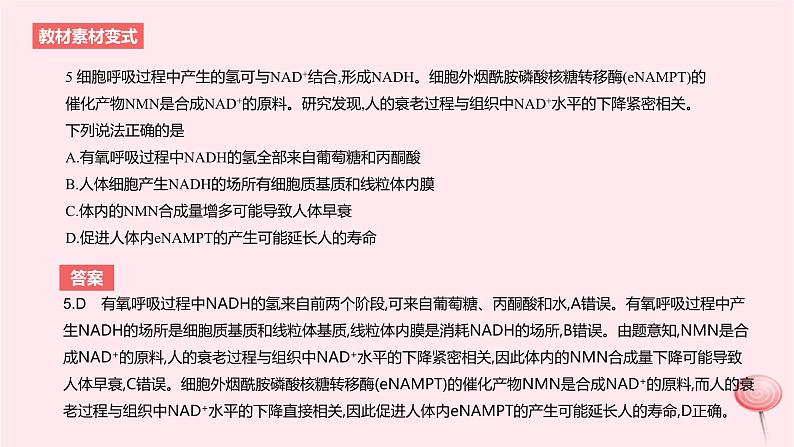 2024版高考生物一轮复习教材基础练第三章细胞的能量供应和利用第2节细胞呼吸的原理和应用教学课件第8页