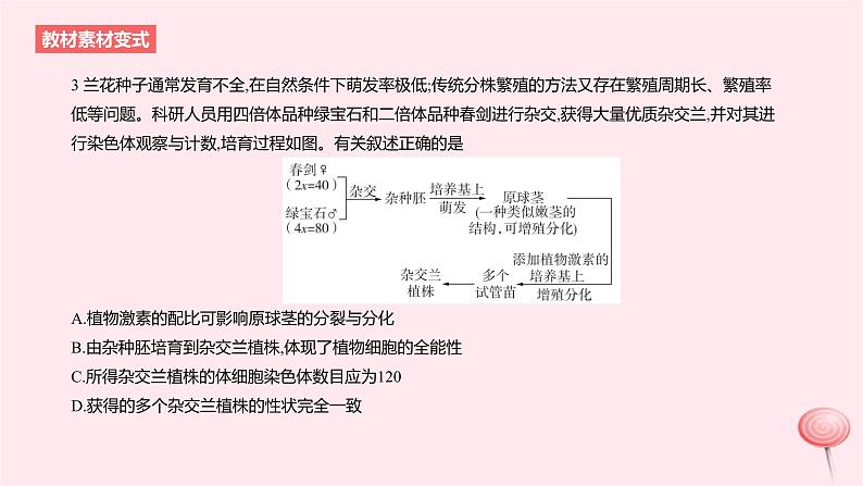 2024版高考生物一轮复习教材基础练第十一章生物技术与工程第2节细胞工程教学课件第6页