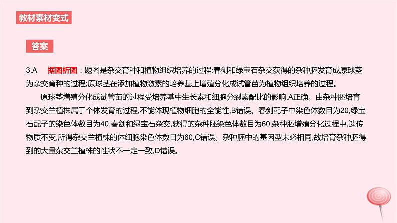 2024版高考生物一轮复习教材基础练第十一章生物技术与工程第2节细胞工程教学课件第7页