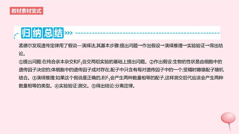 2024版高考生物一轮复习教材基础练第五章遗传的基本规律第1节基因的分离定律教学课件05