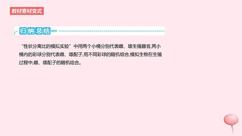 2024版高考生物一轮复习教材基础练第五章遗传的基本规律第1节基因的分离定律教学课件07