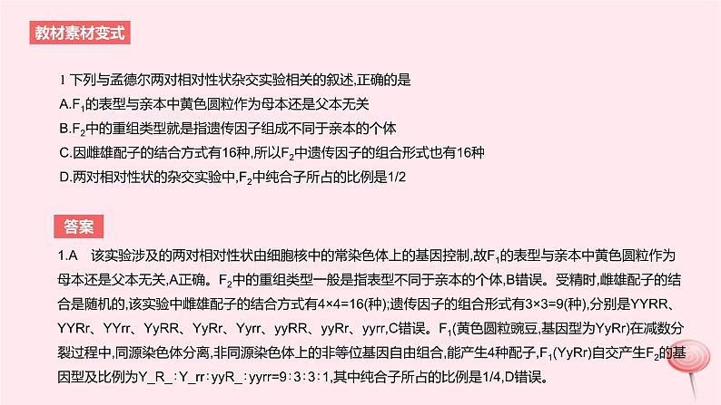 2024版高考生物一轮复习教材基础练第五章遗传的基本规律第2节基因的自由组合定律教学课件04