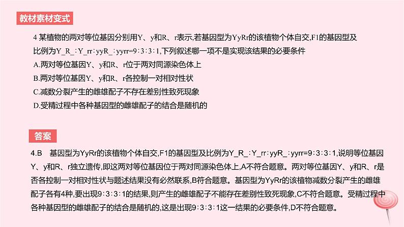 2024版高考生物一轮复习教材基础练第五章遗传的基本规律第2节基因的自由组合定律教学课件07
