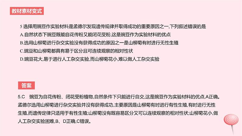2024版高考生物一轮复习教材基础练第五章遗传的基本规律第2节基因的自由组合定律教学课件08